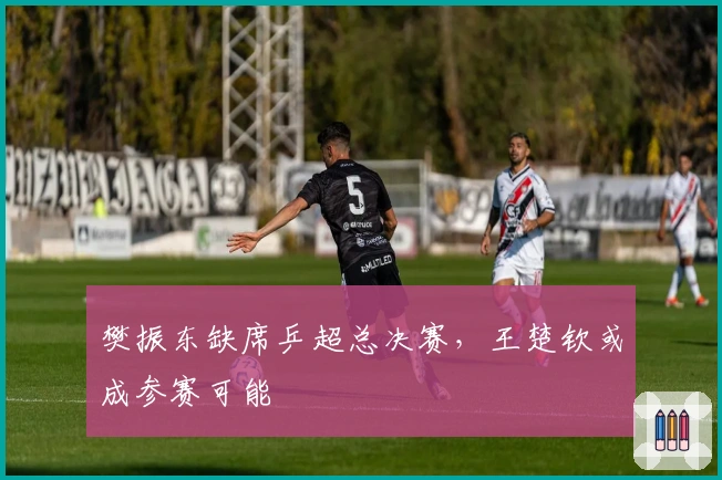 樊振东缺席乒超总决赛，王楚钦或成参赛可能